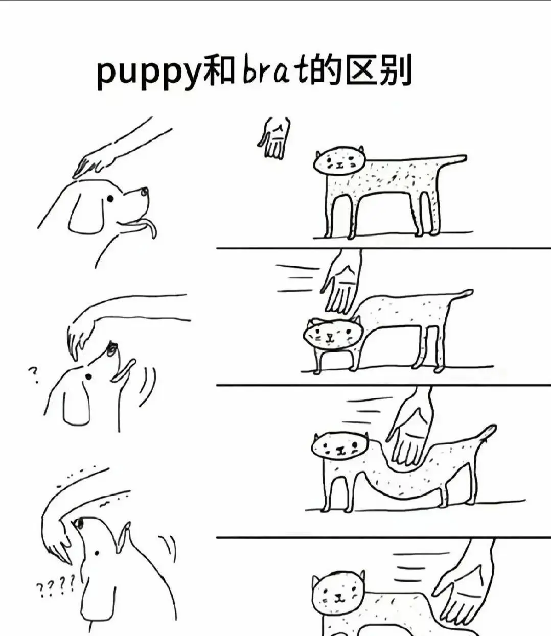 西檬之家Tickle是什么? 一