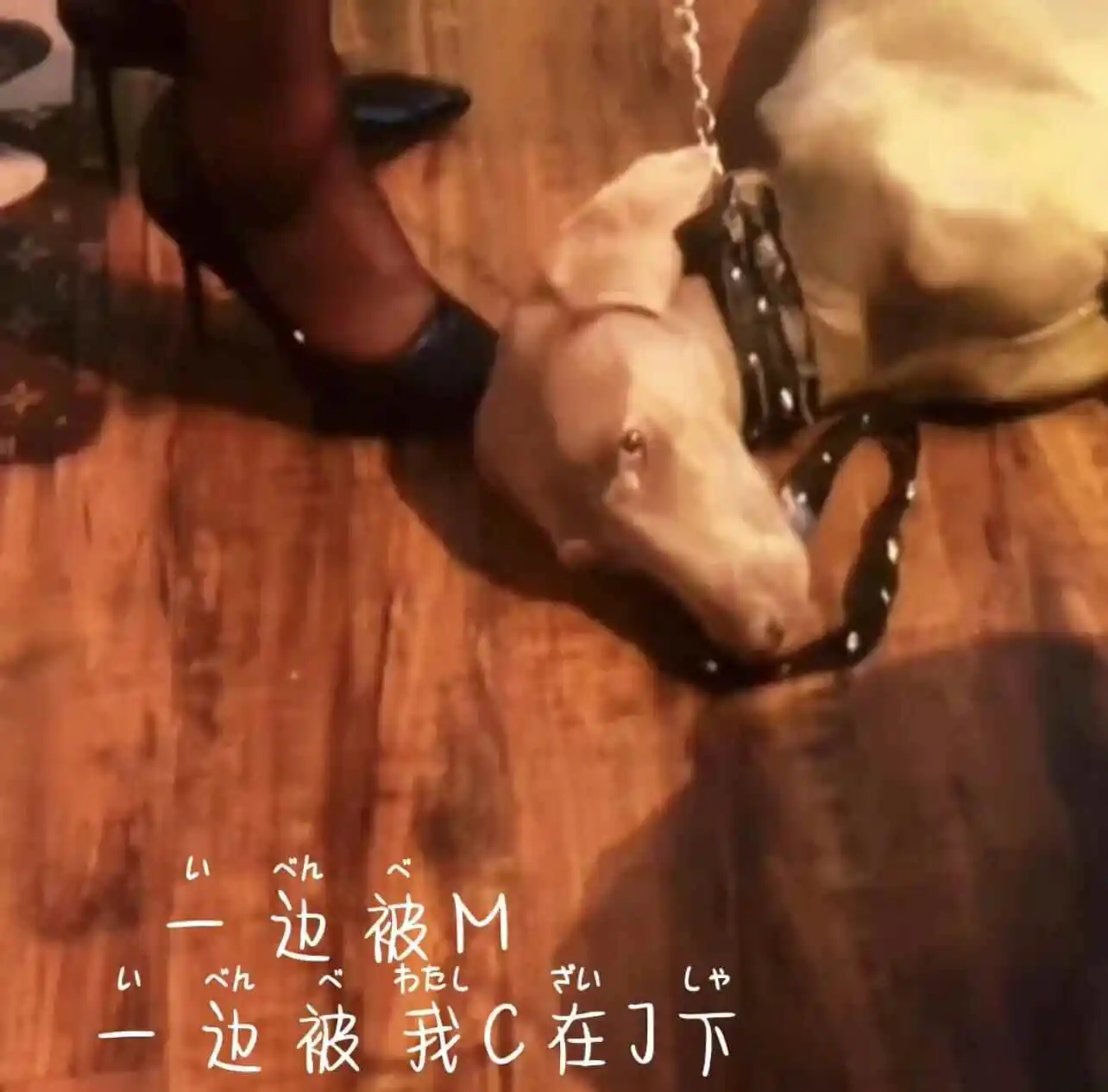 西檬之家字母圈的Aftercare该怎么做好? 一