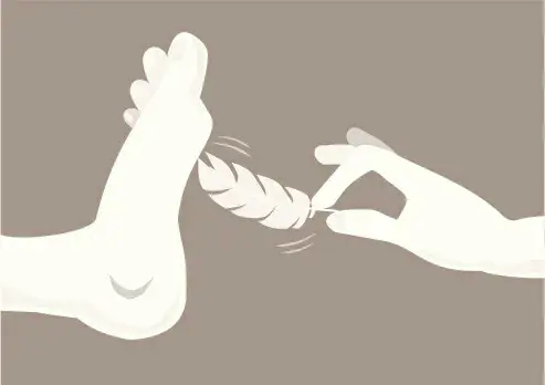 西檬之家斯慕圈新人入圈指南 一