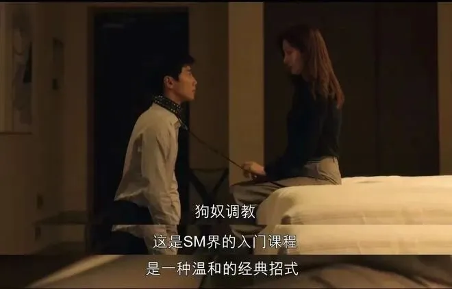 西檬之家k8是什么?字母圈新人必知 一