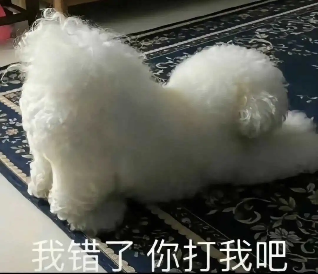 西檬之家字母圈女王是什么 一
