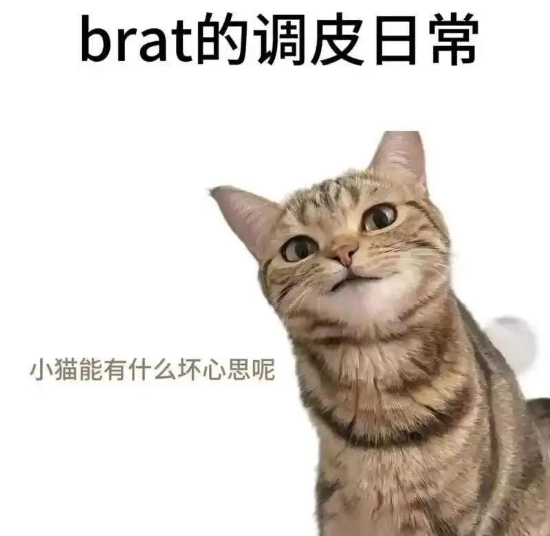 西檬之家BDSM入圈新手必读:安全原则全解析 一