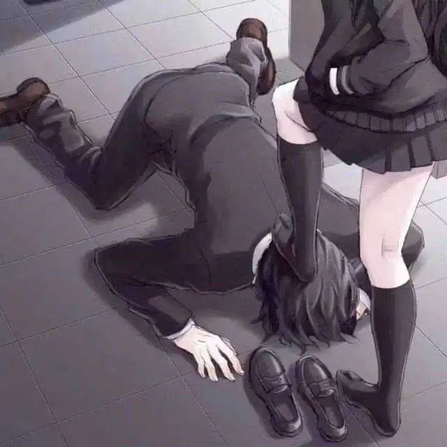 西檬之家字母圈s属性是什么 一