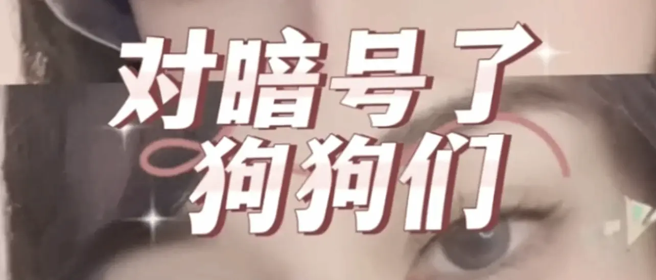 西檬之家字母圈DT是什么? 一