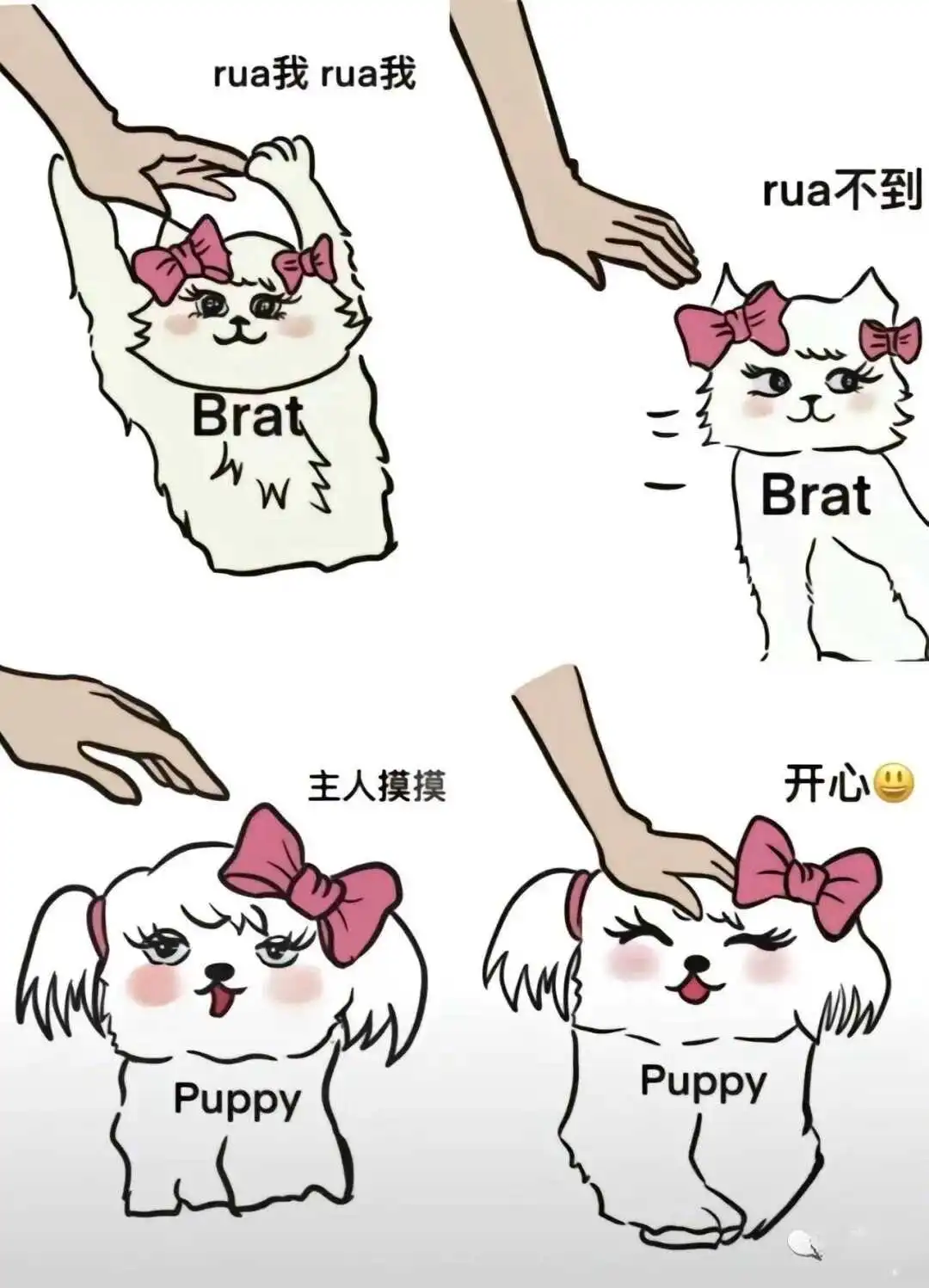 西檬之家k8是什么?字母圈猫奴属性解析 一